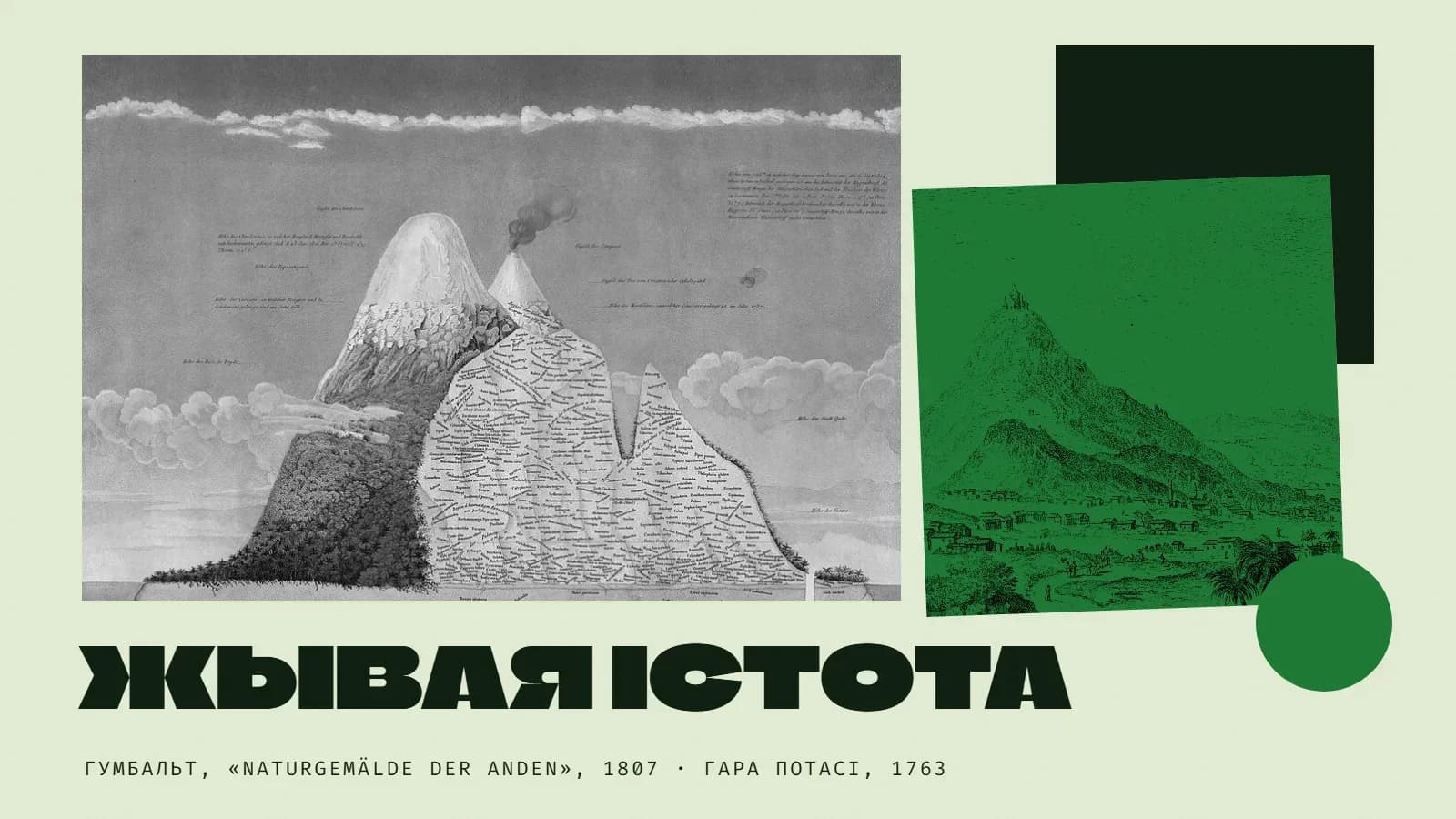 Калаж у зялёных колерах: злева чорна-белая выява старой каляровай гравюры — разрэз заснежанага вулкана, адзін яго схіл пакрыты лесам, другі спісаны назвамі раслін па вышынях, за ім дыміць другі вулкан, вакол аблокі; справа на чорным квадраце нахіленая гравюра ў зялёным дуатоне — высокая гара з капліцай на вяршыні, па схіле ідуць людзі, ля падножжа — гарадок і ветракі; унізе справа зялёны круг, знізу вялікі надпіс «Жывая істота» і подпіс «Гумбальт, Naturgemälde der Anden, 1807 · Гара Потасі, 1763».