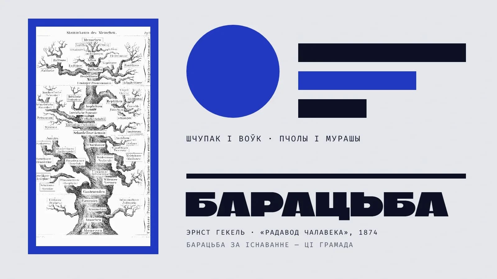 Калаж: злева ў сіняй рамцы літаграфія Эрнста Гекеля «Радавод чалавека» — галіністае дрэва з подпісамі па-нямецку, ад «Монер» і амёб у корані да малпаў і чалавека на вершаліне. Справа сіні круг і тры гарызантальныя паласы, чорная і сінія, подпіс «шчупак і воўк · пчолы і мурашы» і вялікі надпіс «Барацьба».